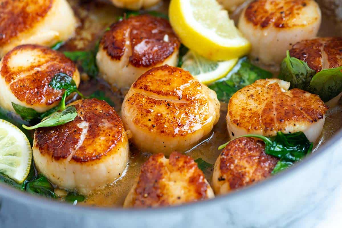 Seared Scallops: Dry Scallops and Hot Pan for Best Results